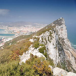 Click To Enlarge